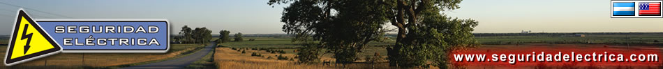 www.seguridadelectrica.com